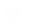 NatureCipher AI Logo
