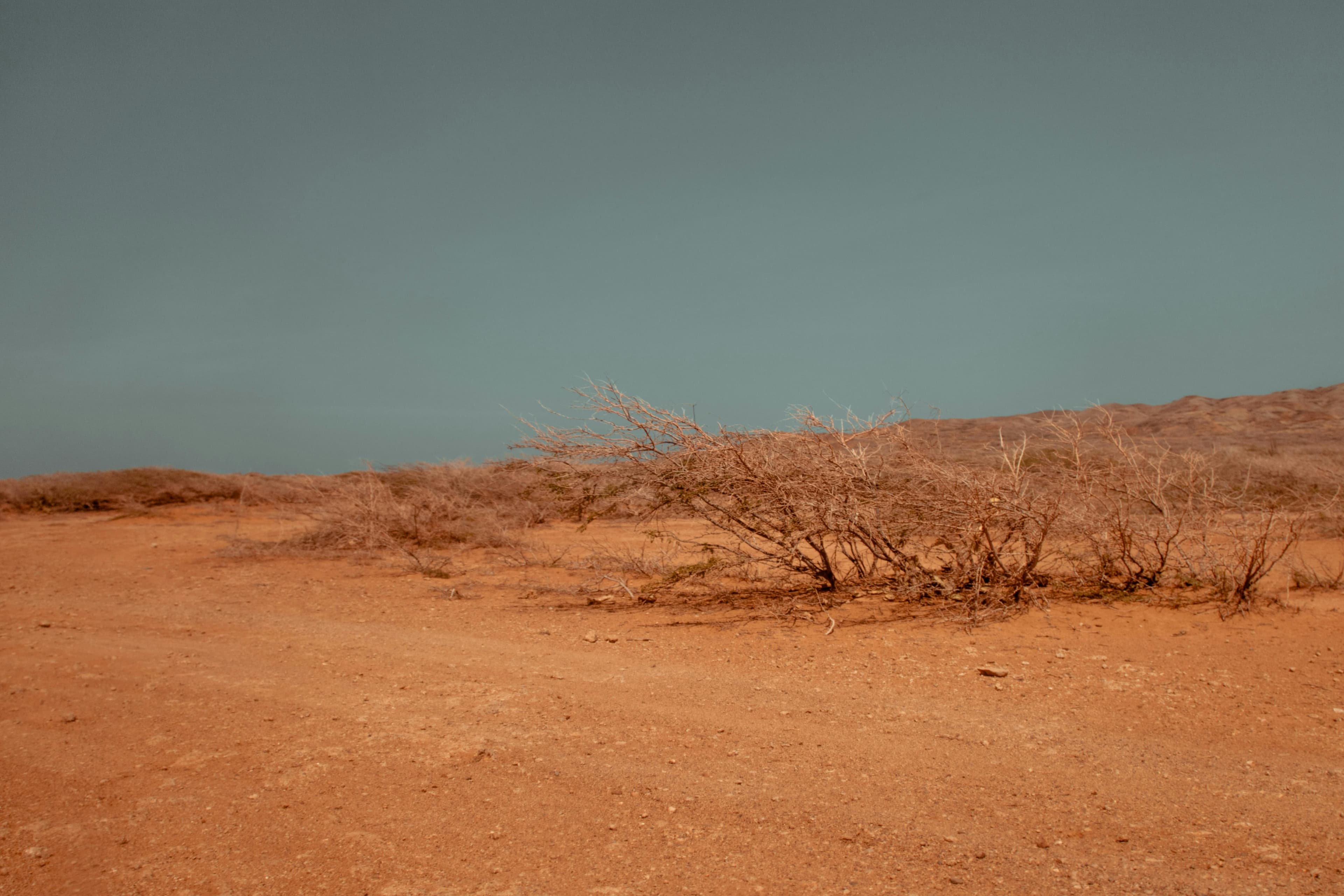 Climate Disasters