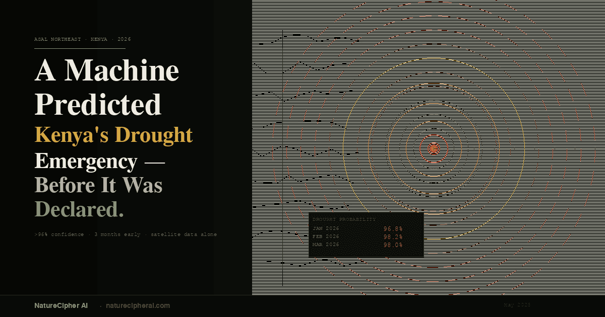A Machine Predicted Kenya's 2026 North Eastern Drought Emergency before It Was Declared an emergency